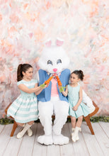 Load image into Gallery viewer, Mint Green Striped Dress